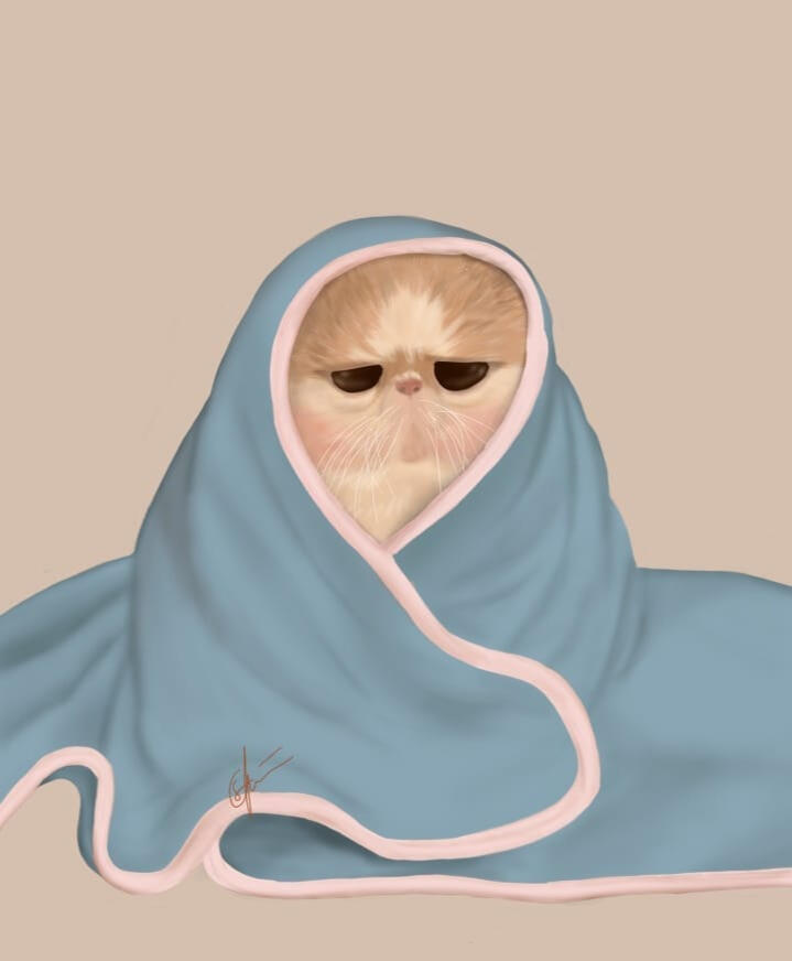Catto