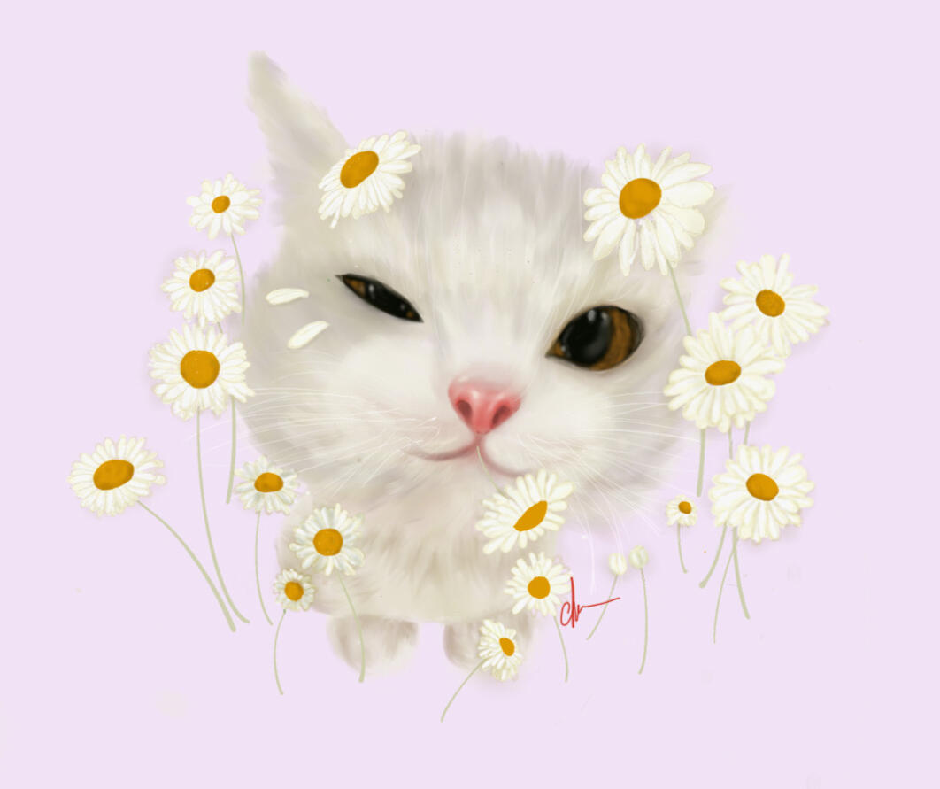Daisy rounds the Cat