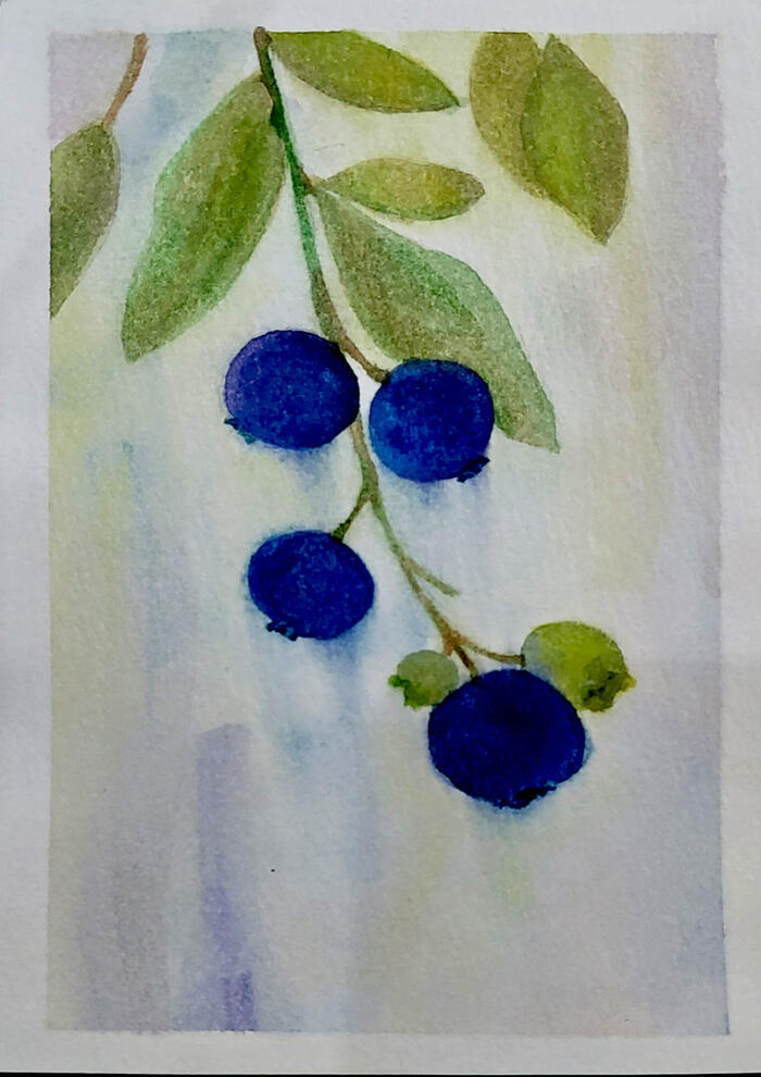 blueberries
