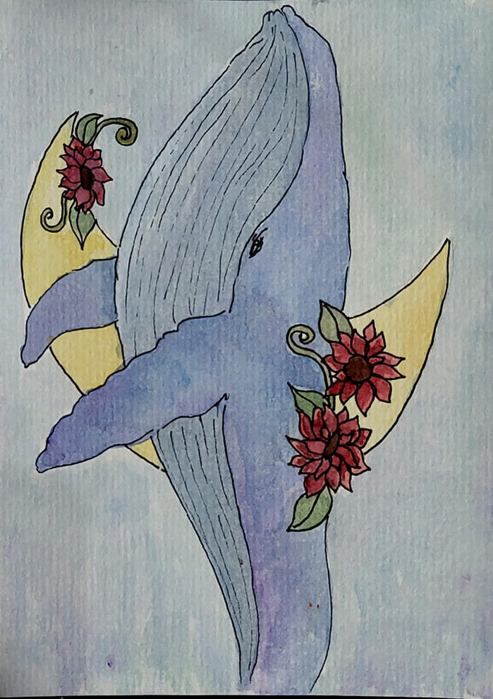whalenim