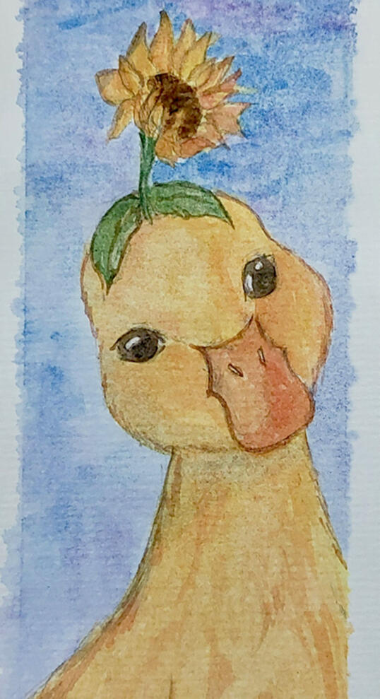 pookie duckie