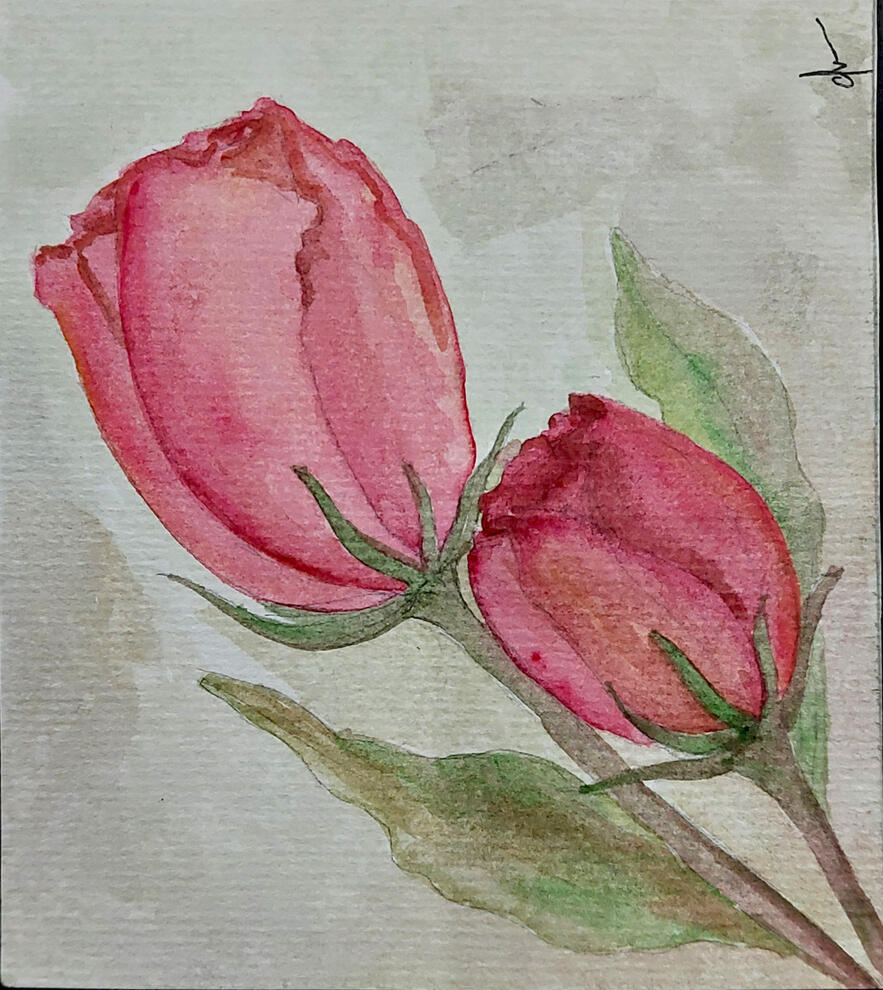 red roses